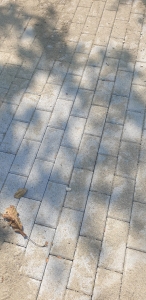 king-percorso-autobloccanti1