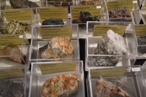2023.01.28 Mostra di Minerali alla Nave (9)