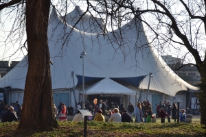 CARNEVALE  (14)