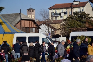 CARNEVALE  (17)