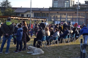 CARNEVALE  (19)