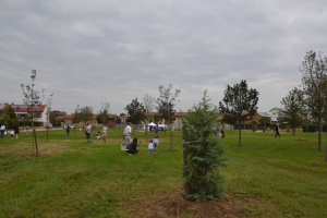 2023.09.17 Adotta un albero - Parco Lucio Dalla (13)